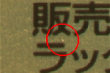 フィッシュアイ欠陥サンプル